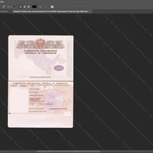 Uzbekistan Passport Psd Template version 2 - professional graphic design asset
