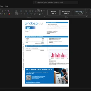 Argentina Endesa Electricity Bill Template, Premium editable file in Word and PDF formats