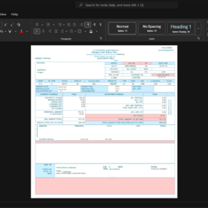 Bangladesh Habiganj Palli Bidyut Samity Electricity Bill Template, High-quality template in Word and PDF format