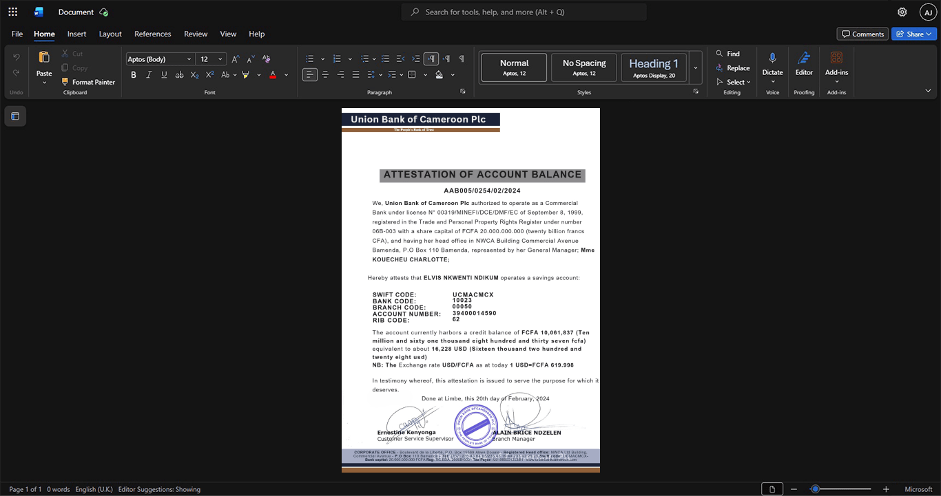Cameroon Union Bank of Cameroon UBC Bank Statement Template, Digital download file preview