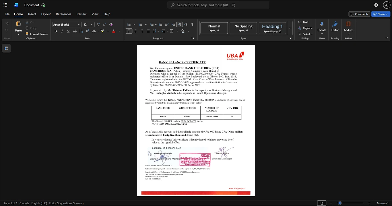 Cameroon United Bank for Africa UBA Bank Statement Template, Print-ready in PDF layout