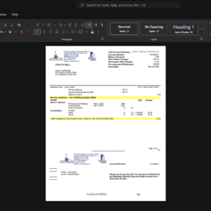 Canada City of Kitchener Generic Utility Bill Template, Premium editable file in Word and PDF formats