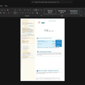 France Electricit de France EDF Electricity Bill Template, Customizable document in Word and PDF format