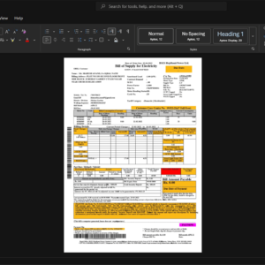 India BSES Rajdhani Power Limited Electricity Bill Template, Premium editable file in Word and PDF formats
