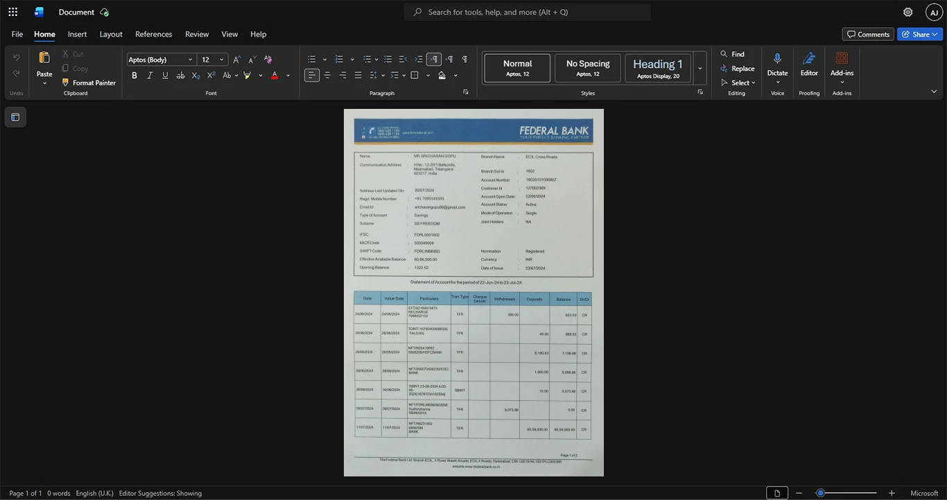 India Federal Bank Bank Statement Template, Blank template in Word and PDF format
