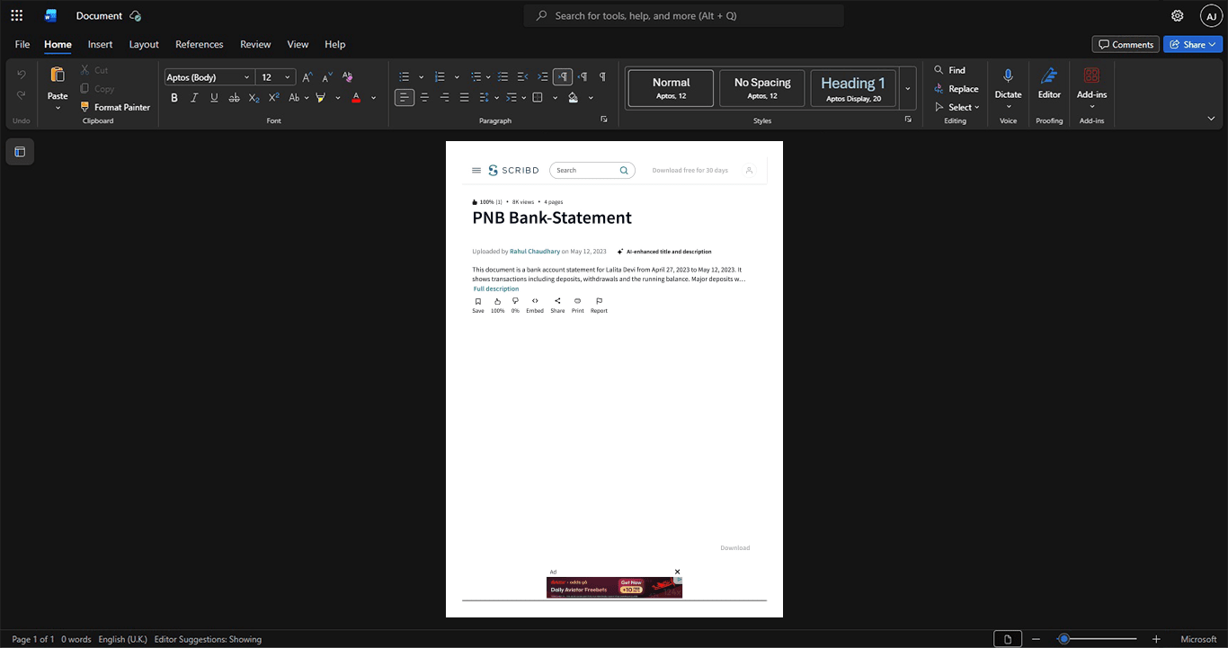 India Punjab National Bank PNB Bank Statement Template, Corporate style document in Word and PDF formats
