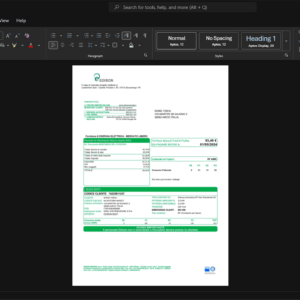 Italy Edison S p A Electricity Bill Template, Blank template in Word and PDF format