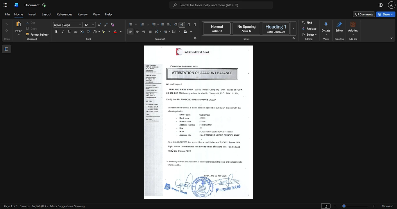 Nigeria First Bank of Nigeria Bank Statement Template, Blank template in Word and PDF format