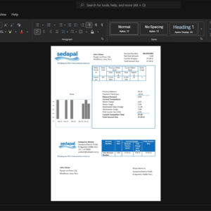 Peru Servicio de Agua Potable y Alcantarillado de Lima Sedapal Water Bill Template, printable document in Word and PDF format