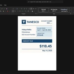 Tanzania Tanzania Electric Supply Company TANESCO Electricity Bill Template, Standard layout in DOCX and PDF
