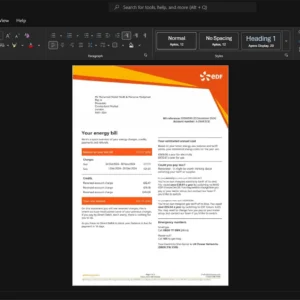 UK Electricit de France EDF Generic Utility Bill Template, Customizable document in Word and PDF format