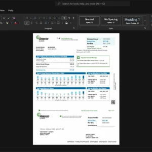 USA Ameren Illinois Generic Utility Bill Template, Digital download file preview