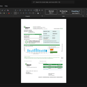 USA Ameren Missouri Electricity Bill Template, Professional document in Word and PDF format