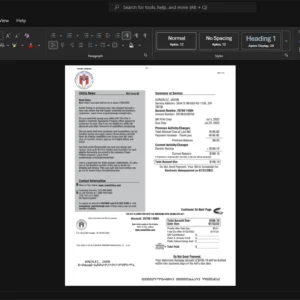 USA Austin Energy Electricity Bill Template, Standard layout in DOCX and PDF