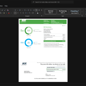 USA Baltimore Gas and Electric Company BGE Generic Utility Bill Template, Print-ready in PDF layout