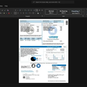 USA Birmingham Water Works Water Bill Template, Print-ready template in Word and PDF