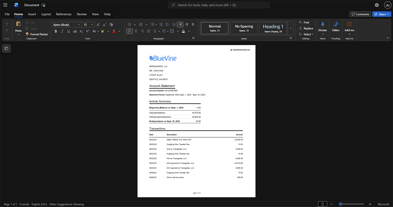 USA Bluevine Business Account Statement Template, Blank template in Word and PDF format