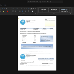 USA City of Chicago Department of Finance Generic Utility Bill Template, Digital download file preview
