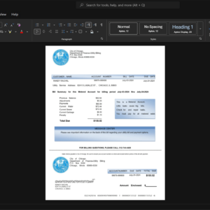USA City of Chicago Generic Utility Bill Template, High-quality design in Word and PDF format
