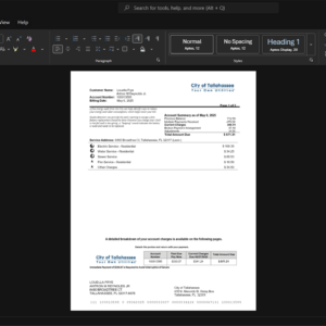 USA City of Tallahassee Utilities Generic Utility Bill Template, Digital download template in Word and PDF