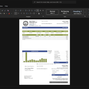USA City of Tampa Water Bill Template, Ready to use template in Word and PDF