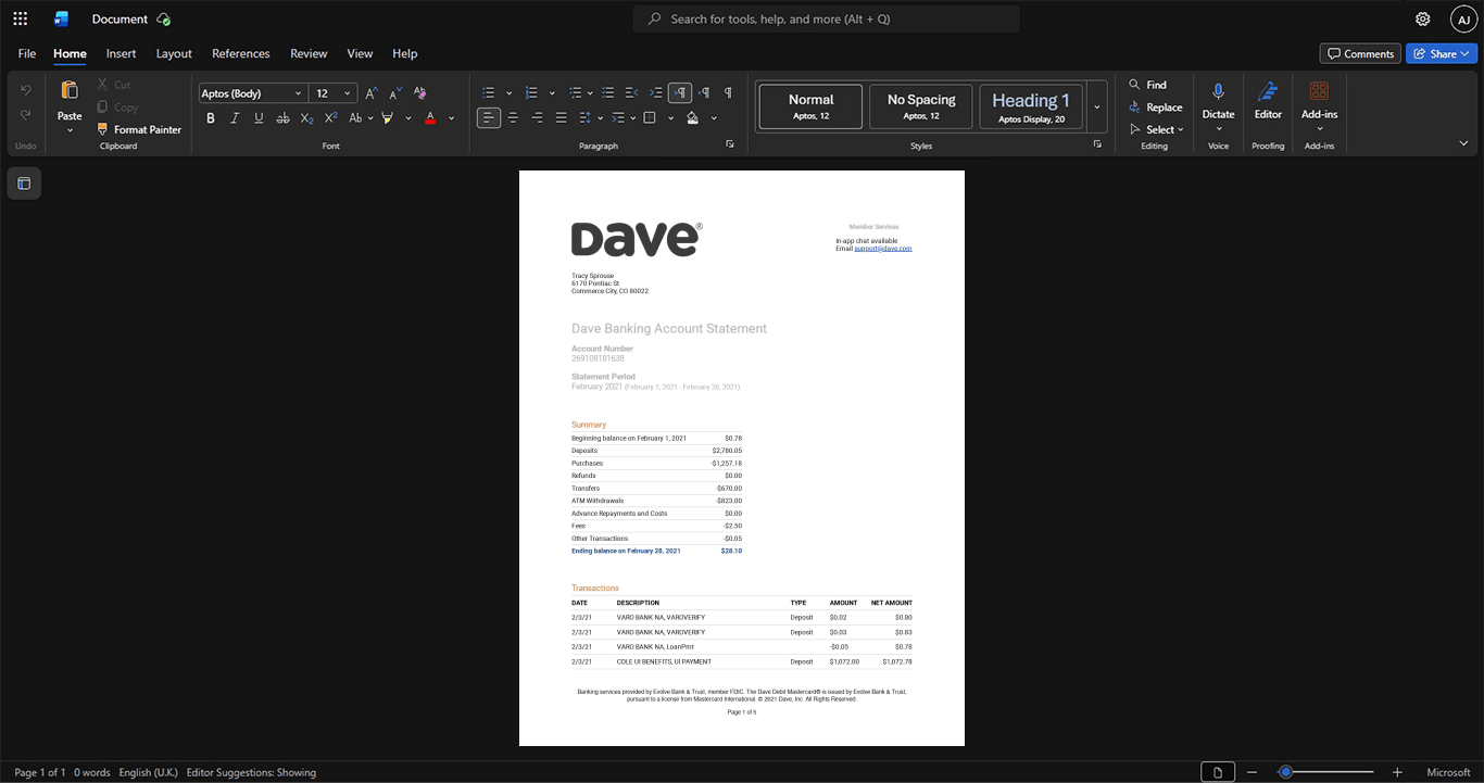 USA Dave Bank Statement Template, Ready to print in Word and PDF format