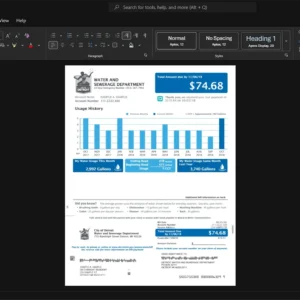 USA Detroit Water and Sewerage Department Water Bill Template, Clean typography design in Word and PDF format