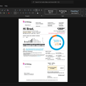 USA Entergy Louisiana Electricity Bill Template, Fully structured template in Word and PDF format