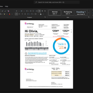 USA Entergy Louisiana LLC Electricity Bill Template, Quick edit digital asset in Word and PDF