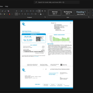USA Florida Power and Light Company FPL Electricity Bill Template, Quick edit template in Word and PDF format