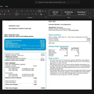 USA Florida Power Light Company FPL Electricity Bill Template, Digital download file preview