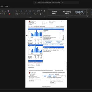 USA Garland Power Light Electricity Bill Template, Premium editable file in Word and PDF formats