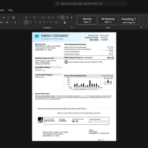 USA Los Angeles Department of Water and Power LADWP Electricity Bill Template, Ready to print in Word and PDF format