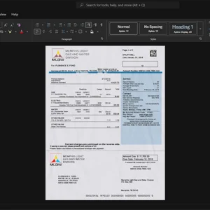 USA Memphis Light Gas and Water MLGW Electricity Bill Template, Blank template in Word and PDF format