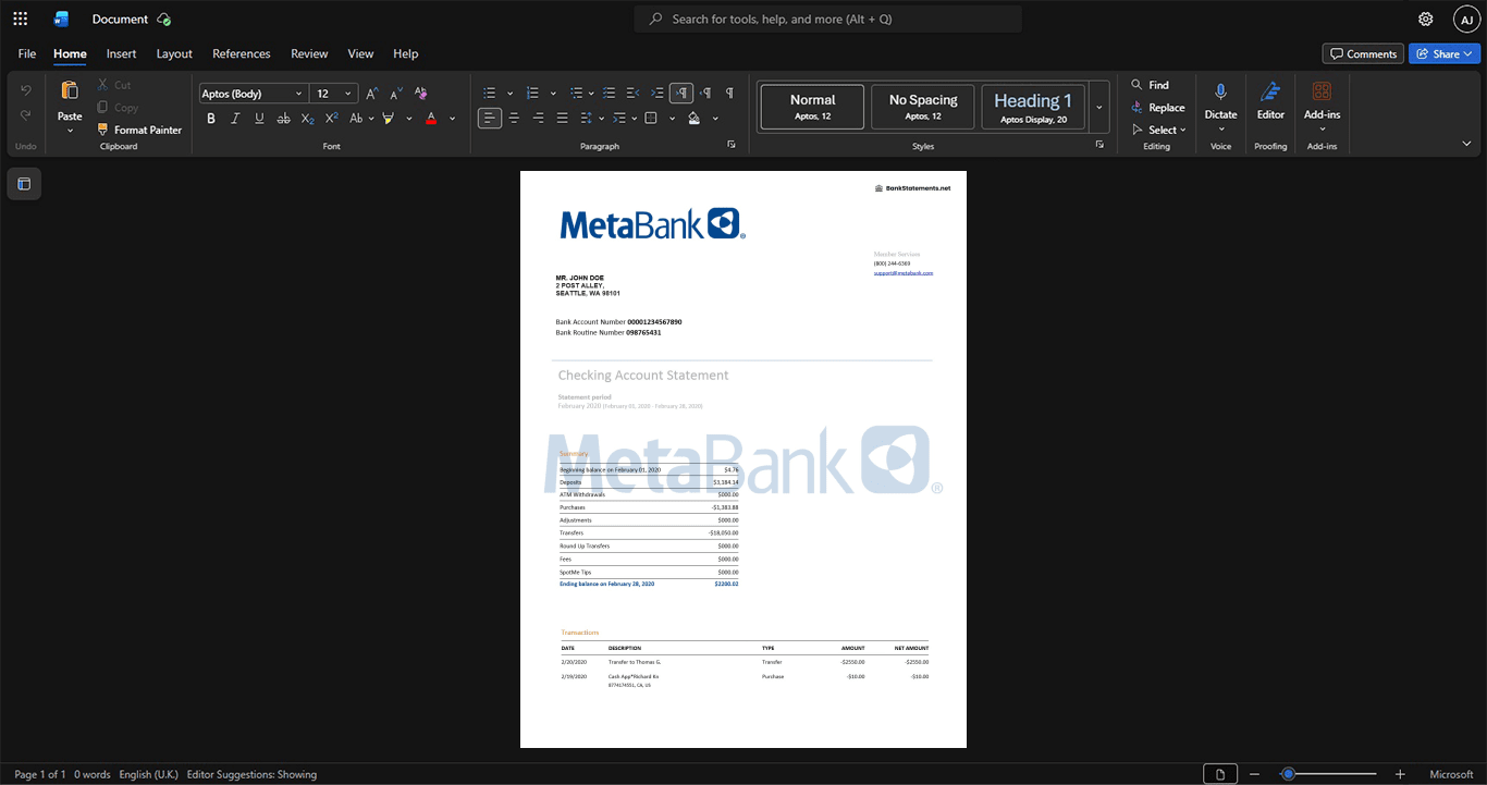 USA MetaBank Bank Statement Template, Standard layout in DOCX and PDF