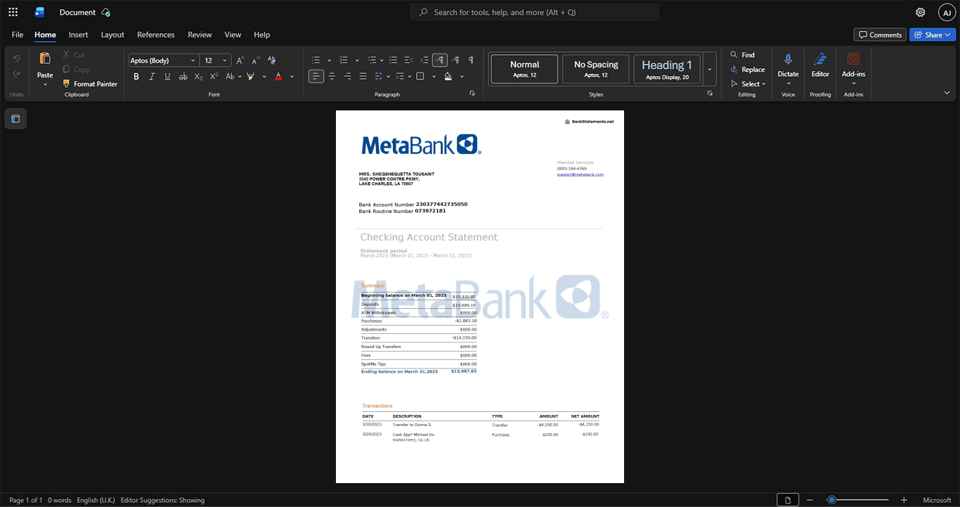 USA MetaBank Bank Statement Template, Easily modifiable Word and PDF format