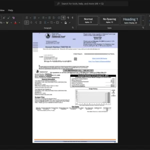 USA National Fuel Gas Distribution Corporation Gas Bill Template, printable document in Word and PDF format