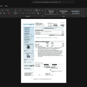 USA National Grid Electricity Bill Template, Digital download template in Word and PDF