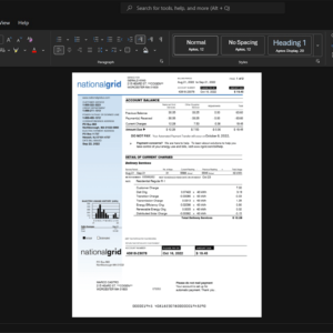 USA National Grid USA Electricity Bill Template, Ready to use template in Word and PDF