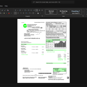 USA Northwestern Energy Electricity Bill Template, Print-ready template in Word and PDF