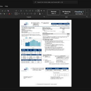 USA PPL Electric Utilities PPL Electricity Bill Template, Easily modifiable Word and PDF format