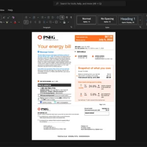 USA Public Service Electric and Gas Company PSE G Electricity Bill Template, Available in editable Word and PDF format