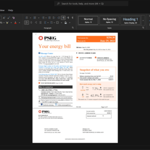 USA Public Service Enterprise Group PSE G Generic Utility Bill Template, Available in editable Word and PDF format