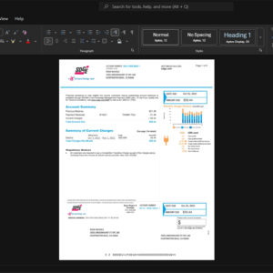 USA San Diego Gas and Electric Company SDG E Electricity Bill Template, Print-ready in PDF layout