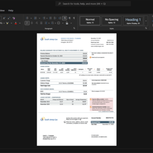 USA South Jersey Gas Gas Bill Template, High-quality design in Word and PDF format