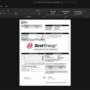 USA Xcel Energy Electricity Bill Template, Easily modifiable Word and PDF format