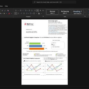 USA Xcel Energy Electricity Bill Template, High-quality template in Word and PDF format