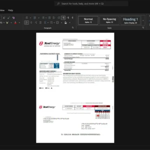 USA XCEL Energy Inc Generic Utility Bill Template, High-quality template in Word and PDF format