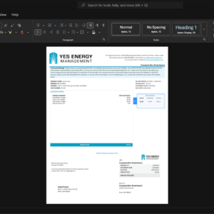 USA Xcel Energy Xcel Energy Electricity Bill Template, Premium editable file in Word and PDF formats