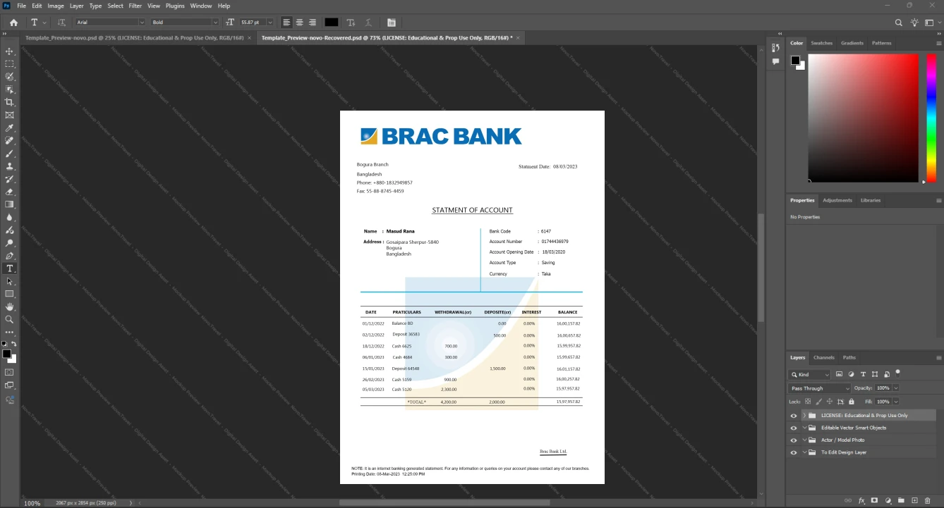 Bangladesh BRAC Bank Limited Bank Statement Template, Corporate style document in Word and PDF formats